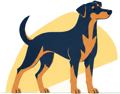 Beauceron